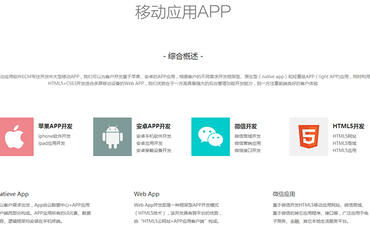 南昌app开发,软件定制开发,oa系统已完成